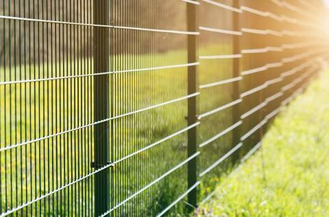 Zäune aus Stabmatten